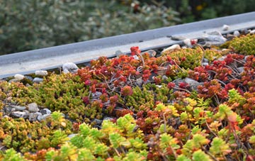 the cost of Bosbury green roof installation